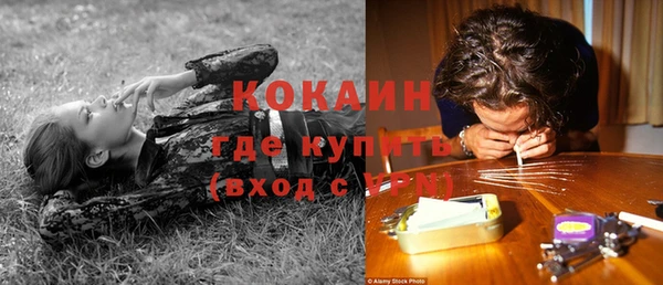 мяу мяу мука Ладушкин