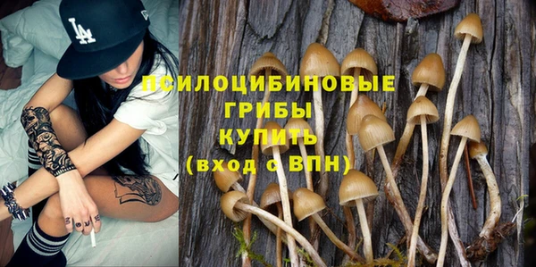 гашик Лабытнанги