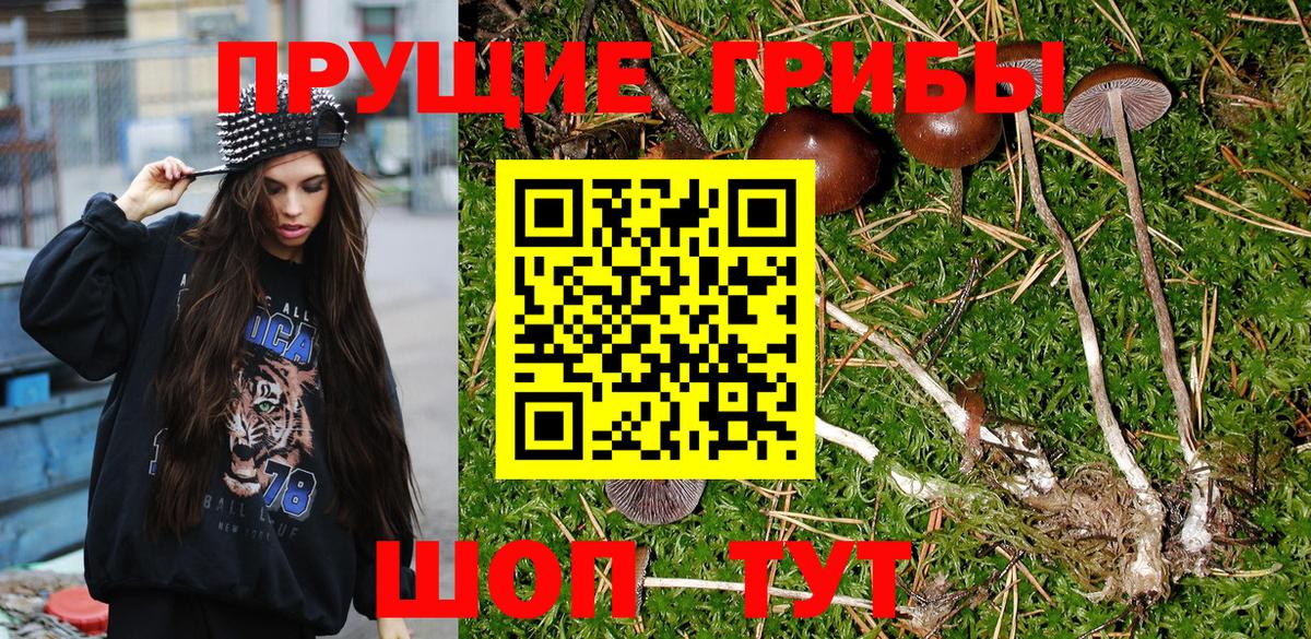 Якутск  Псилоцибиновые грибы Psilocybine cubensis  Вход с VPN 